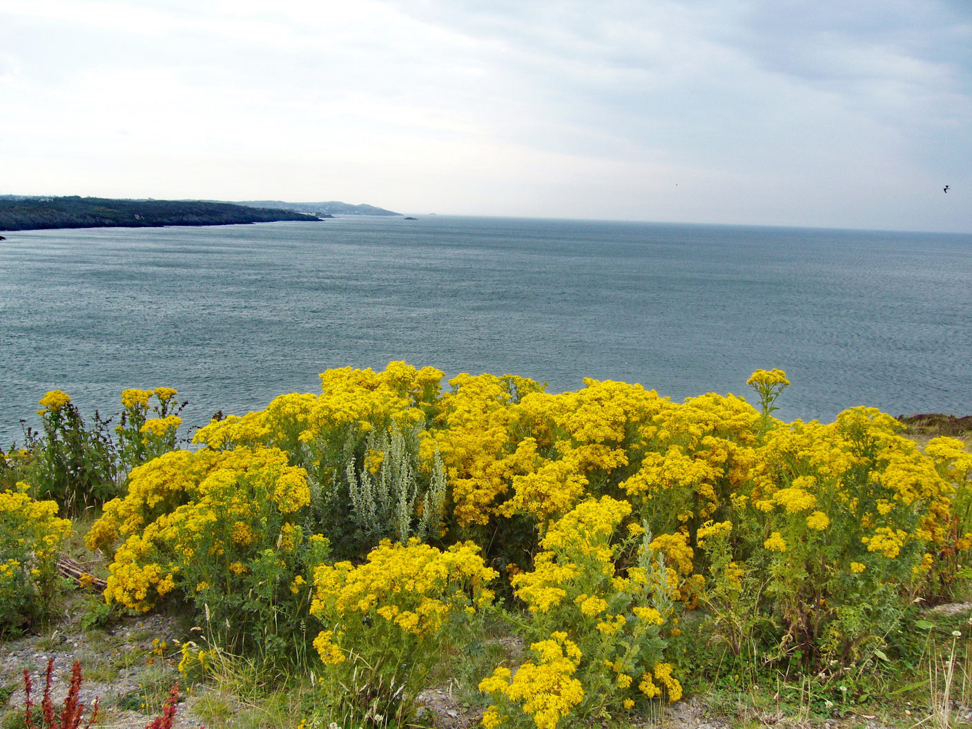 Llaneilian (Amlwch)